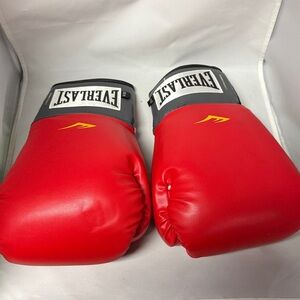 Everlast Red and Black Training Gloves